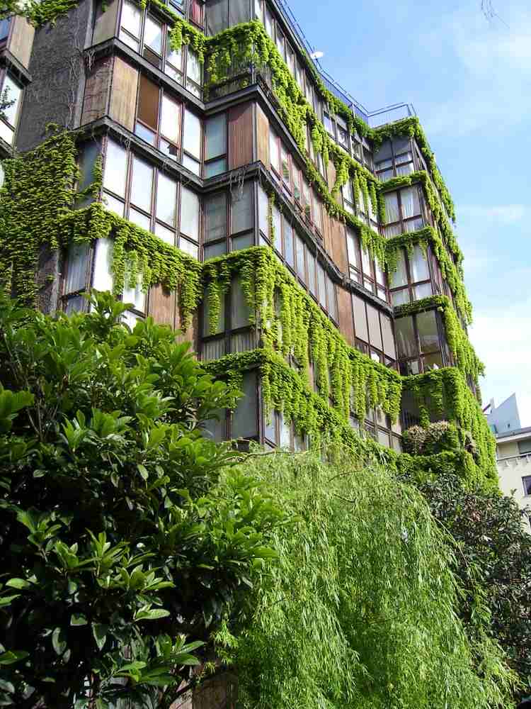urbanes grün stadtleben-hausfassade-kletterpflanzen-vertikaler-garten-begrünung