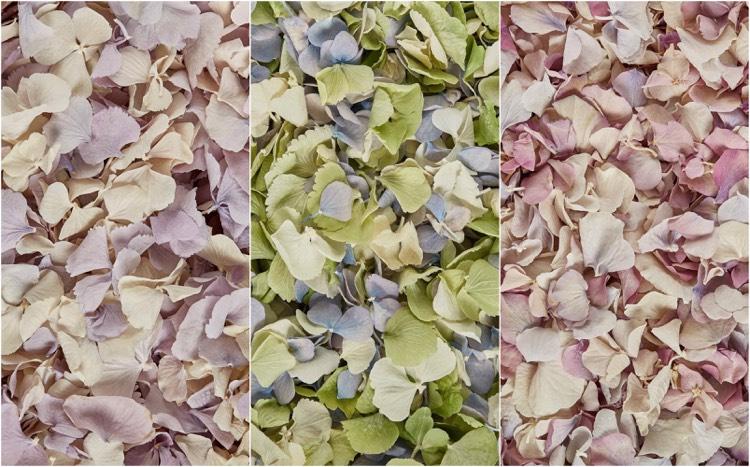 vintage-deko-hochzeit-blumenkonfetti-hortensienblaetter-farben