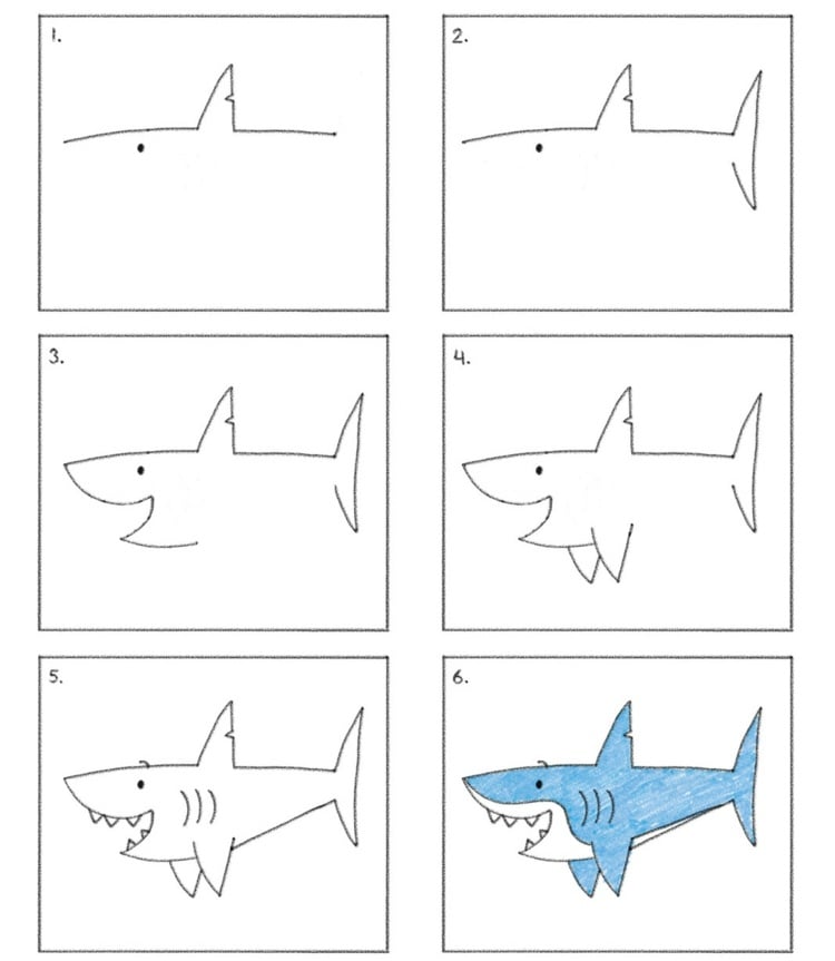 zeichnen lernen hai-fisch-schritt-einfach