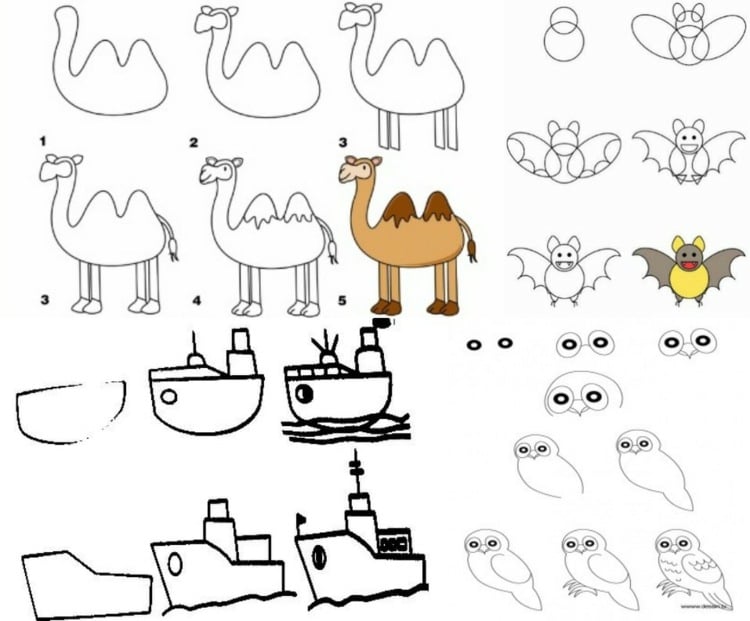 zeichnen-lernen-kamel-schiffe-uhu-eule-fledermaus-tiere