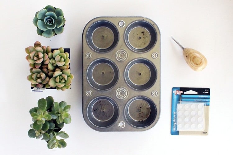 DIY Upcycling Ideen alte-muffinform-topf-zimmerpflanzen-selber-machen-materialien