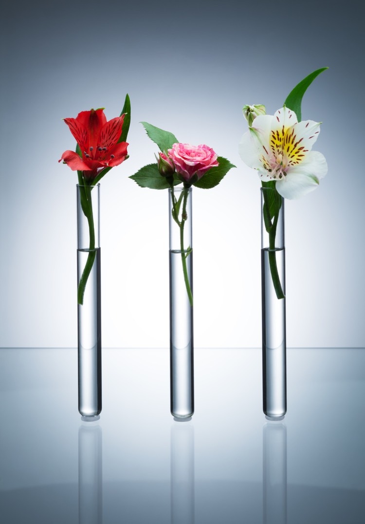 ideen für reagenzgläser floristik-blumen-vasen-fresien