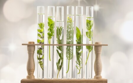 Ideen für Reagenzgläser