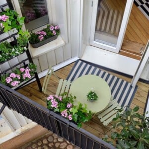 Herbstblumen für Balkon