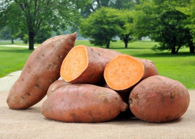 Süßkartoffel Rezepte ganz-geschnitten-geschmack-vegan-low-carb-lecker