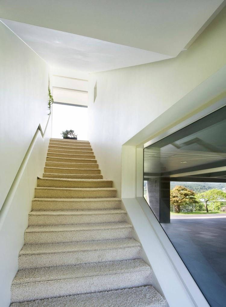 balkongeländer-glas-treppen-durchgang-teppich-pflanzen-zwischenhof-bäume-wände-weiß