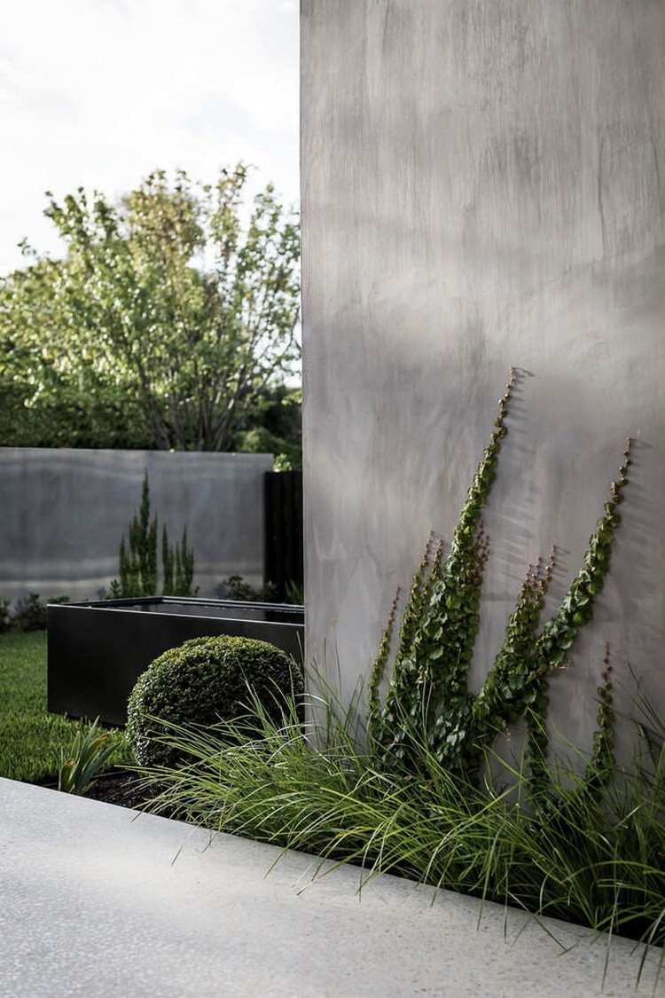 betonhaus-minimalistisch-beton-fassade-begrünung-kletterpflanzen