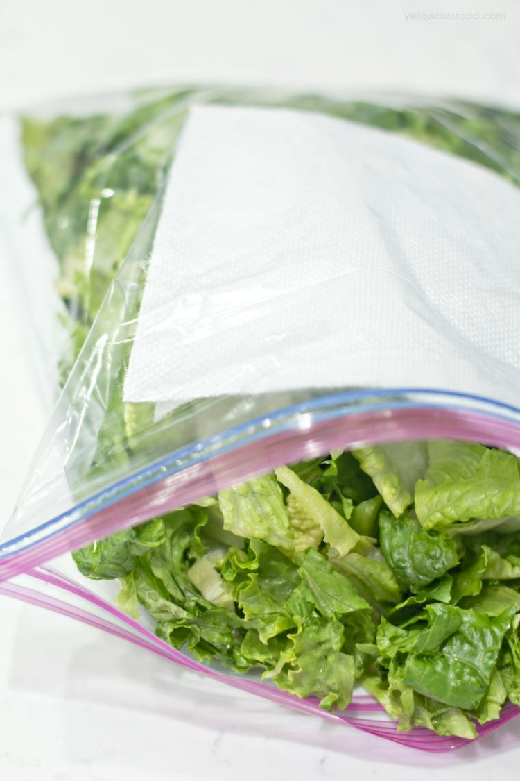 gemüse-lagern-obst-blattgemüse-salat-plastikbeutel-feucht-küchenrolle-idee