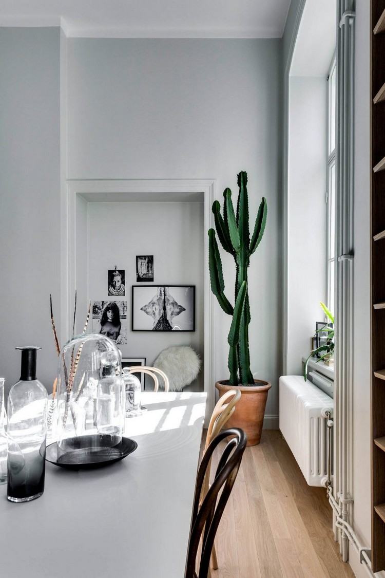 Minimalistische Einzimmerwohnung esstisch-zimmerpflanze-kaktus