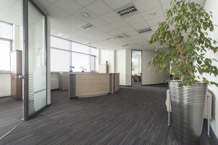 moderne Bürogestaltung -empfangsraum-green-office-pflanzen-nachhaltige-materialien