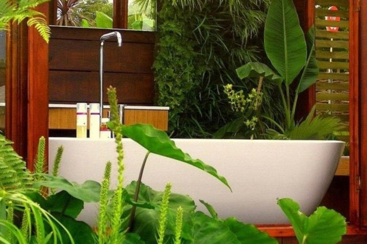 Pflanzen fürs Bad