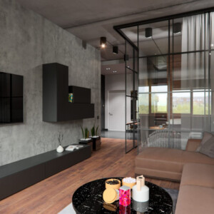 beton-holz-elegant-wohnzimmer-trennwand-verglasung-couch