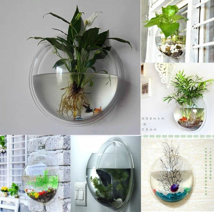 Blumentöpfe-hängen-transparent-glas-aquarium-pflanzen-fresh-gadgetz