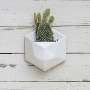 blumentopf zum hängen wand-kaktus-geometrisch-design-modern