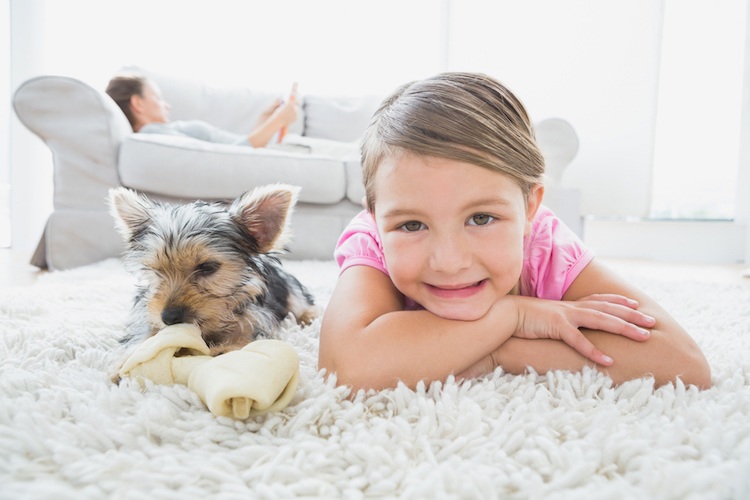 Glückliches Kind mit Hund auf einem weichen Teppich 