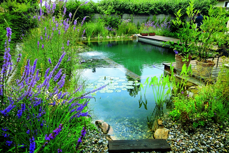 gartengestaltung biopool-naturpool-schwimmteich-idee-bepflanzung