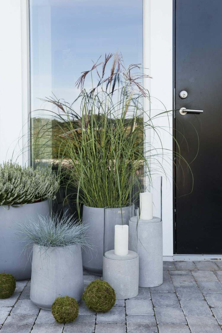 gartengestaltung-gräser-ziergräser-blumentopf-beton-minimalistisch