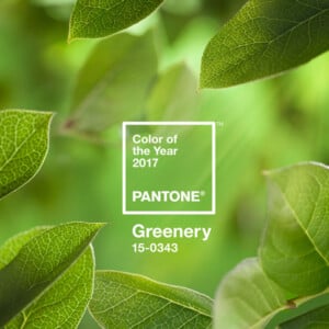 Pantone Farbe