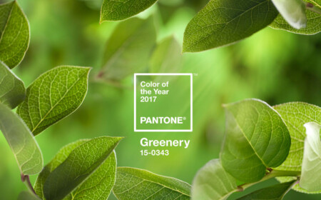 Pantone Farbe