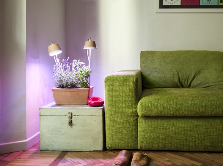 pantone-farbe-grün-2017-wohnzimmer-couch-polster-frisch