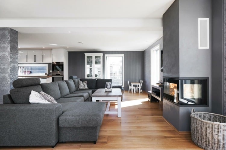 wohnzimmer-kamin-kaminofen-modern-design-dreiseitig-grau-couch