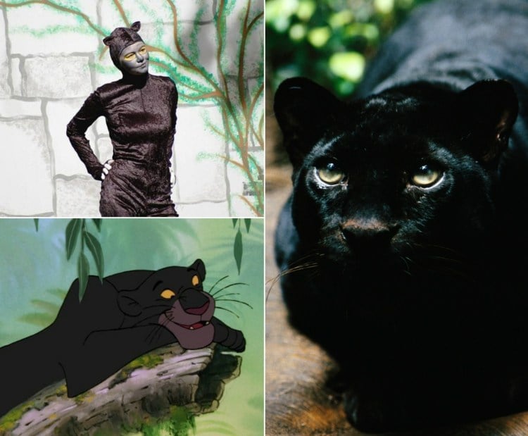 Schwarzer Panther als Baghira mit Overall und Kapuze mit Ohren