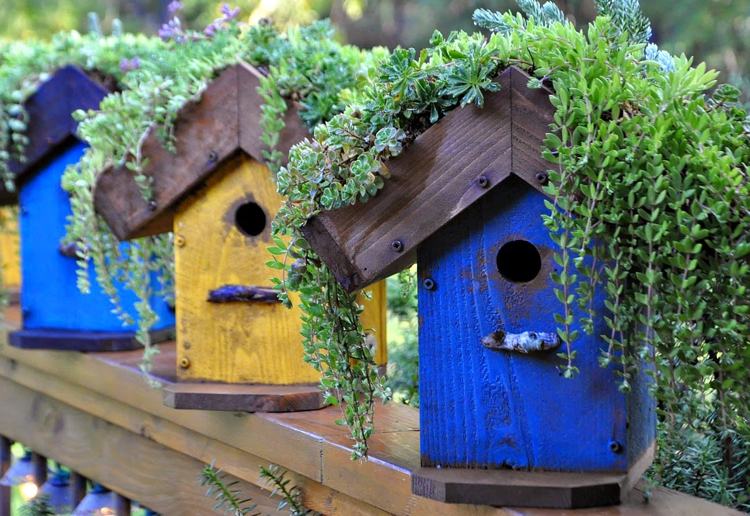 Vogelhaus aus Holz mit bepflanztem Dach selber machen Ideen für Osterdeko für draussen