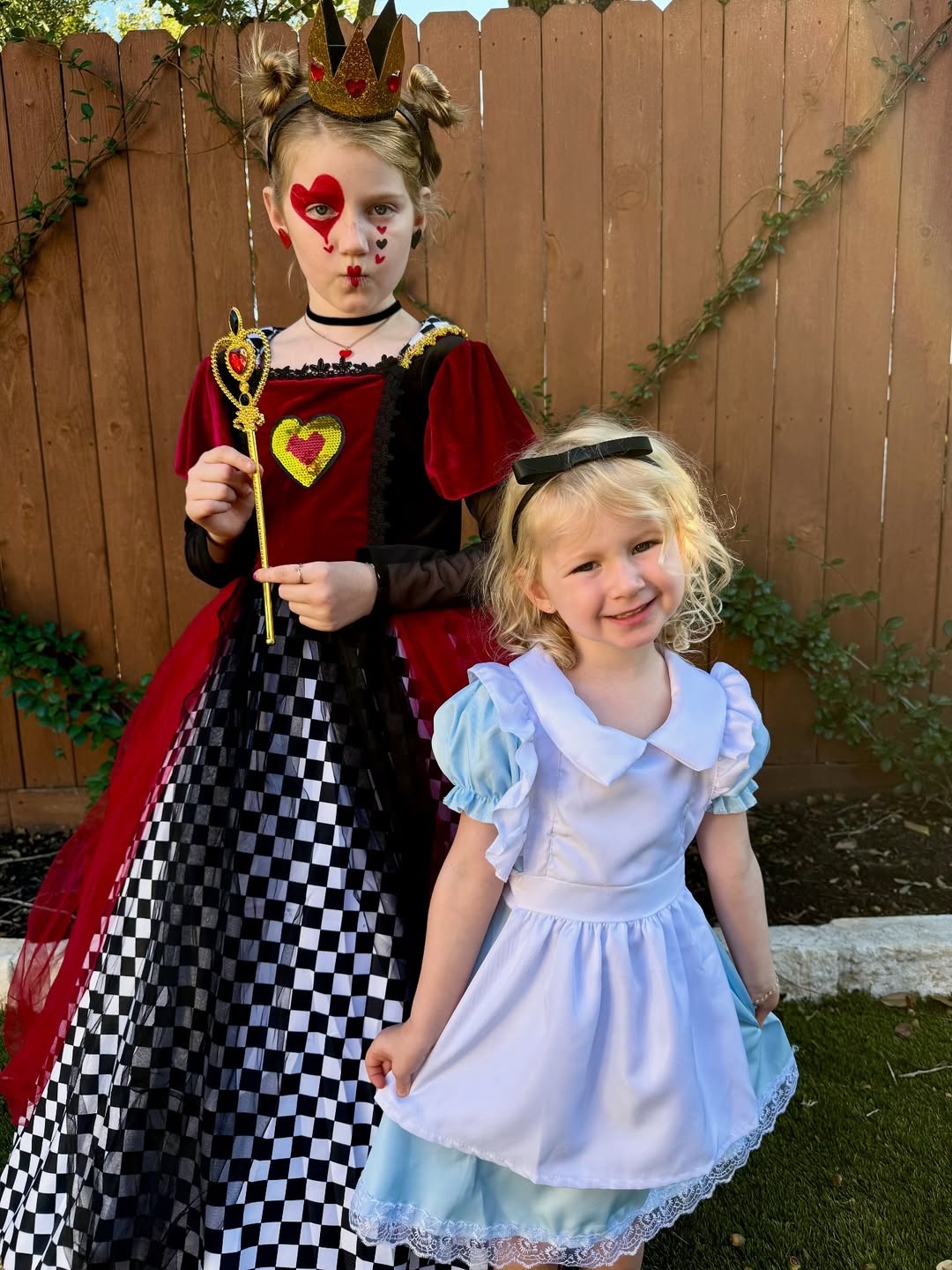 alice im wunderland kostüme für geschwister herzsame und alice