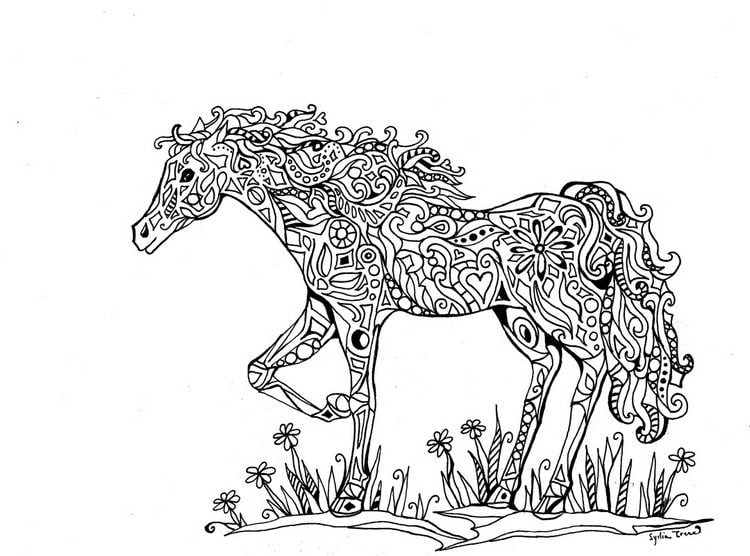 ausmalbilder-erwachsene-ausdrucken-tiere-pferd-malvorlage