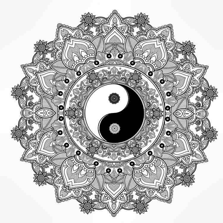 ausmalbilder-erwachsene-mandala-yin-yang-experte-malvorlage