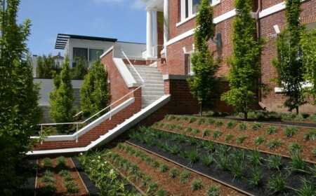 hangbepflanzung-beispiel-modern-mulch-rindenmulch-ziergras-beispiel