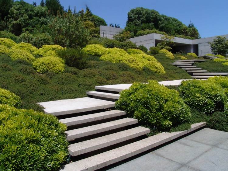 hangbepflanzung-bodendecker-sträucher-beispiel-modern-treppen