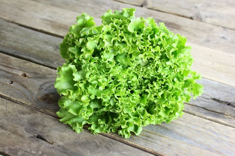 Salat Anbauen Im Garten Tipps Zur Pflege Beliebte Sorten Im Uberblick