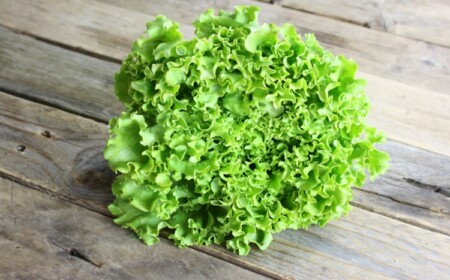 salat anbauen anpflanzen-anfänger-hobbygärtner-sonne-lehm