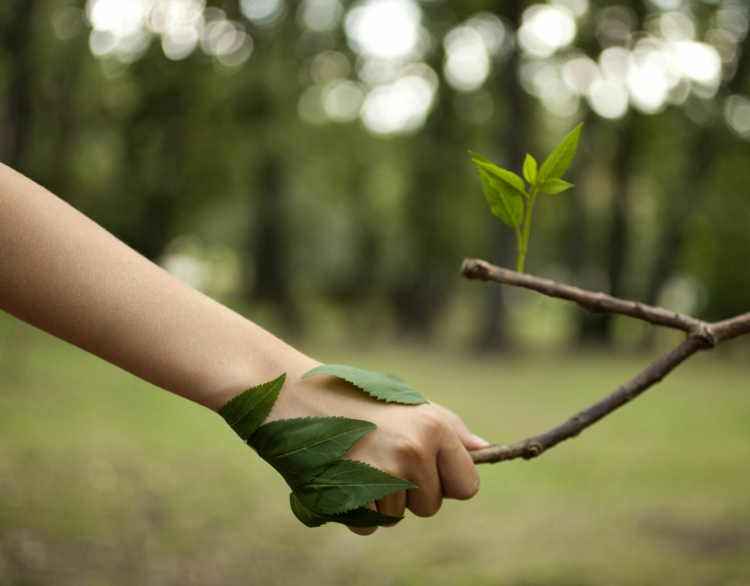 silikatfarbe-streichen-ökologisch-nachhaltig-natur-park-frau-baum-blätter