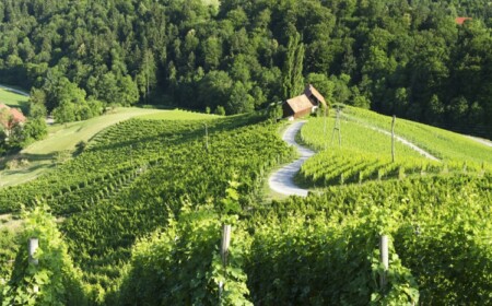 valentinstag-bräuche-slovenien-natur-lanschaft-grün-frühling-herzform-felder-weinberg-häuser-weg