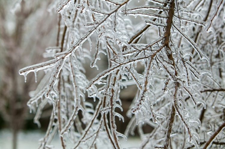 winterdienst-schneeräumen-natur-stadtpark-gebäude-baum-zweige-eis-frost-kälte-rutschig.jpg