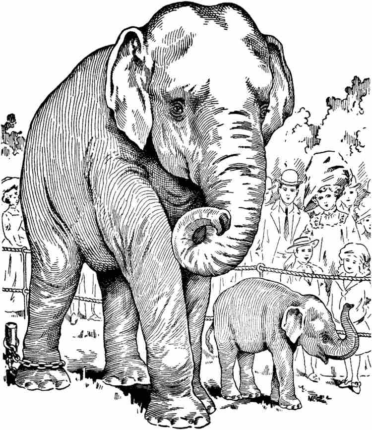 brandmalerei-vorlagen-tiere-motiv-zoo-elefante-besucher-umrisse-linien-einbrennen