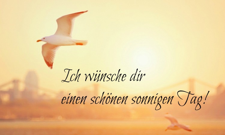 guten-morgen-bilder-kostenlos-spruch-schönen-sonnigen-tag