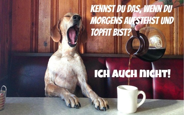 guten-morgen-bilder-lustig-hund-kaffee