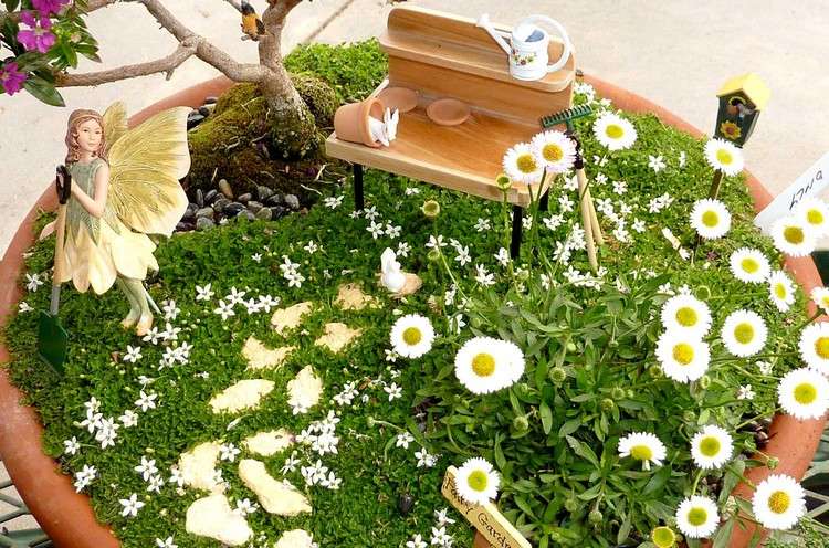 minigarten-gestalten-bepflanzen-gänseblümchen-miniatur-möbel