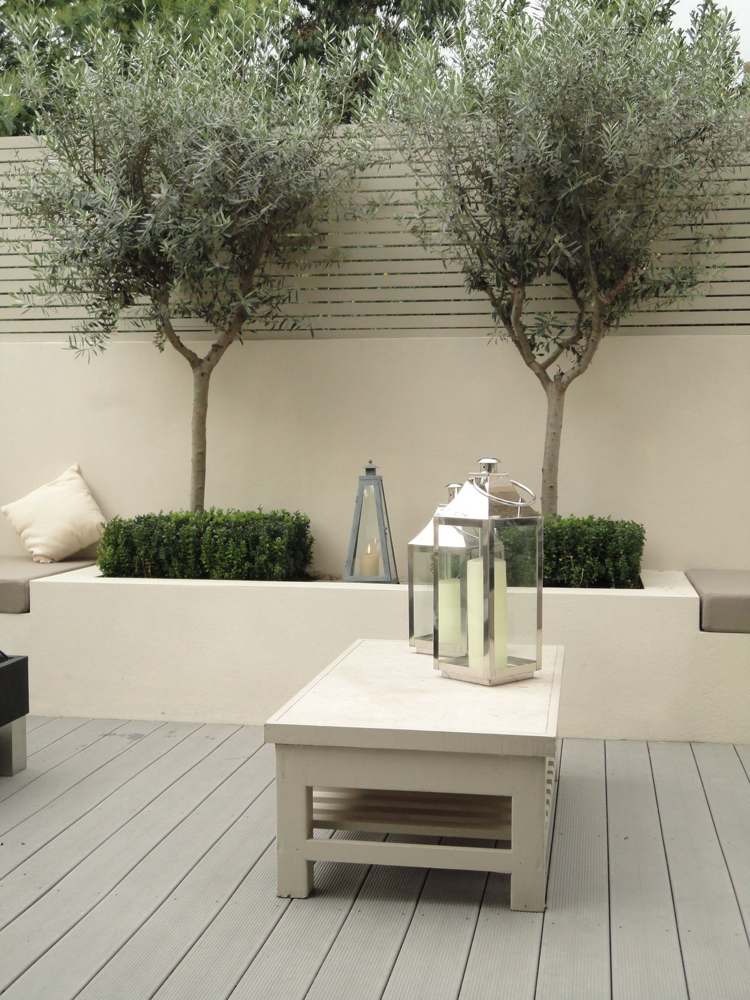 minimalistischer-garten-beton-olivenbaum-holzdielen-sichtschutz