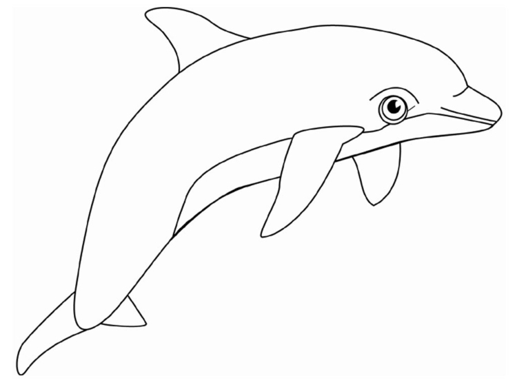 zentangle-vorlagen-delfin-tier-säugetier-wasser-anleitung