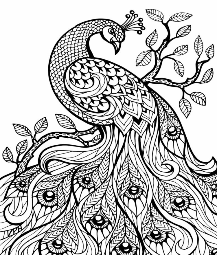 Zentangle Vorlagen zum Ausdrucken gratis 40 Bilder zum
