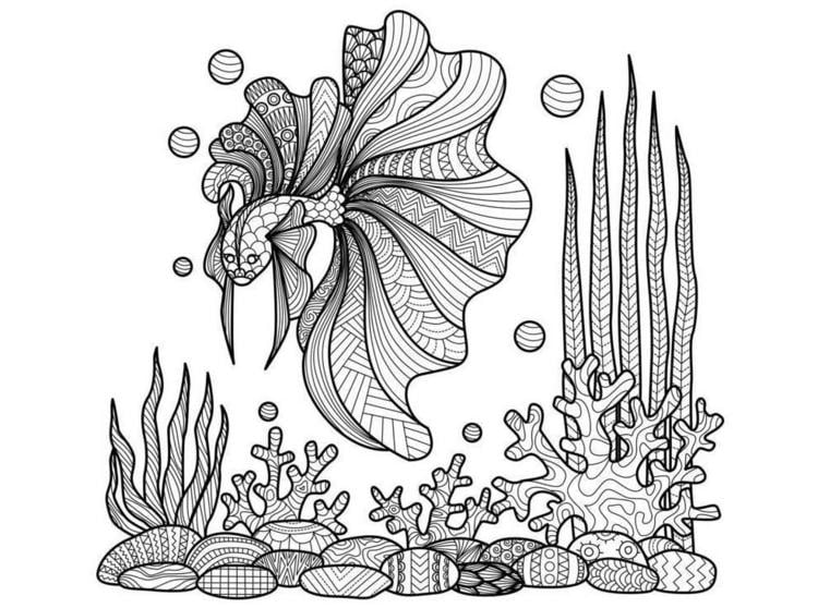zentangle vorlagen unterwasserwelt-fisch-beta-aquarium-koralle-seegras