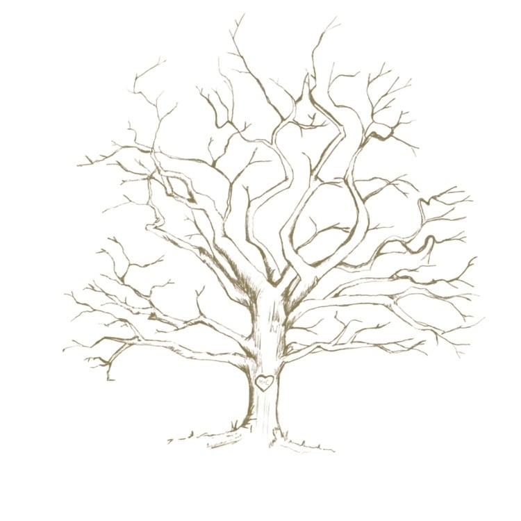 Baum fingerabdruck - Die qualitativsten Baum fingerabdruck ausführlich verglichen!