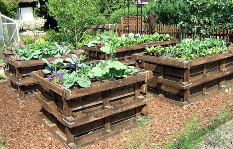 hochbeet-paletten-bauen-gemüse-mulch