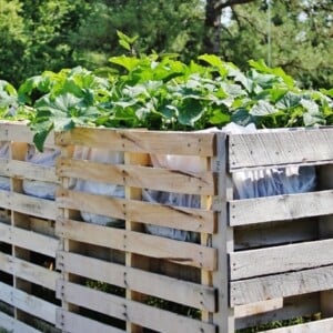 hochbeet-paletten-bauen-gemüse-salat-folie