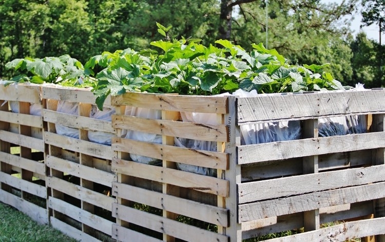 hochbeet-paletten-bauen-gemüse-salat-folie