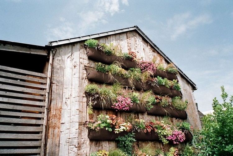 kreative-vertikale-bepflanzung-ideen-fassade